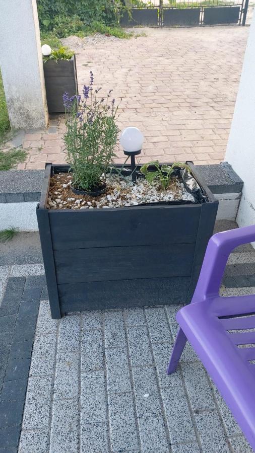 Sorkwity- Pensjonat - Stary Gielad Bagian luar foto